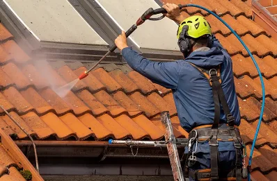 Démoussage et hydrofuge de toiture à Serraval